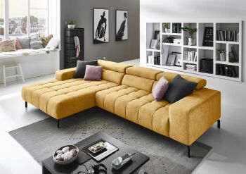 MYSTERY_varianta "Can-2,5 "_Nemo curry 